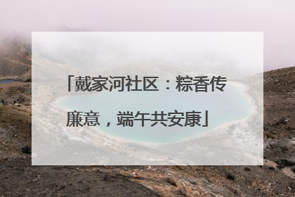 戴家河社区：粽香传廉意，端午共安康