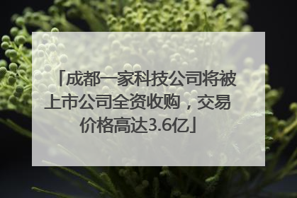 成都一家科技公司将被上市公司全资收购，交易价格高达3.6亿