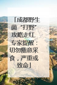 成都野生菌“打野”攻略走红 专家提醒：切勿随意采食，严重或致命