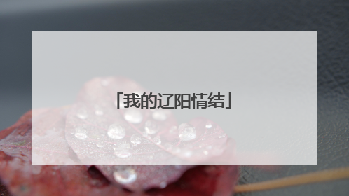 我的辽阳情结