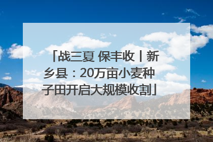 战三夏 保丰收丨新乡县：20万亩小麦种子田开启大规模收割