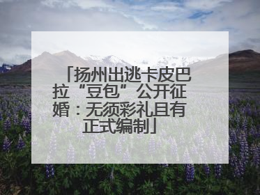 扬州出逃卡皮巴拉“豆包”公开征婚：无须彩礼且有正式编制