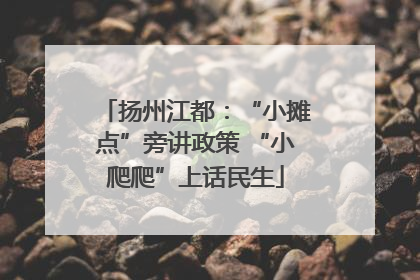 扬州江都：“小摊点”旁讲政策 “小爬爬”上话民生