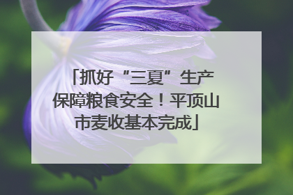 抓好“三夏”生产 保障粮食安全！平顶山市麦收基本完成