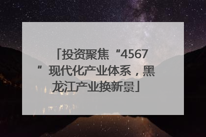 投资聚焦“4567”现代化产业体系，黑龙江产业换新景