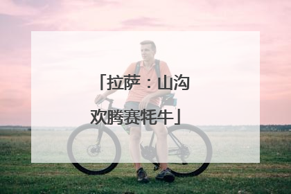 拉萨：山沟欢腾赛牦牛