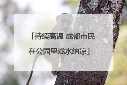 持续高温 成都市民在公园里戏水纳凉