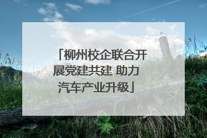 柳州校企联合开展党建共建 助力汽车产业升级