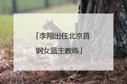 李翔出任北京首钢女篮主教练