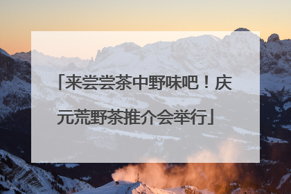 来尝尝茶中野味吧！庆元荒野茶推介会举行