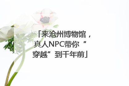 来沧州博物馆，真人NPC带你“穿越”到千年前