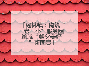 杨林镇：构筑“一老一小”服务圈 绘就“朝夕美好”新图景