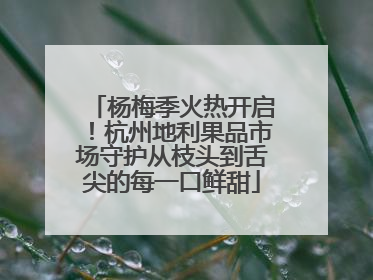 杨梅季火热开启！杭州地利果品市场守护从枝头到舌尖的每一口鲜甜