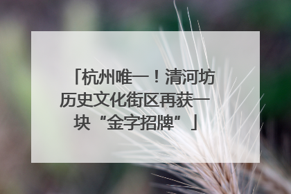 杭州唯一！清河坊历史文化街区再获一块“金字招牌”