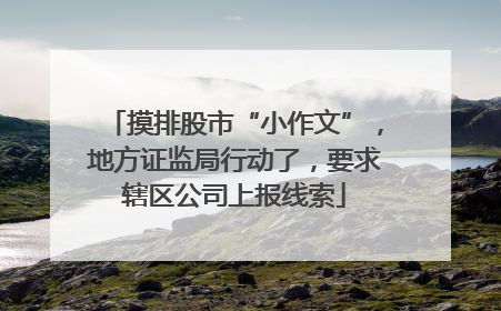 摸排股市“小作文”，地方证监局行动了，要求辖区公司上报线索