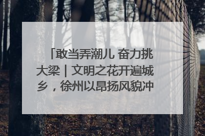 敢当弄潮儿 奋力挑大梁｜文明之花开遍城乡，徐州以昂扬风貌冲刺“万亿之城”