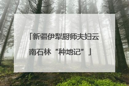 新疆伊犁厨师夫妇云南石林“种地记”