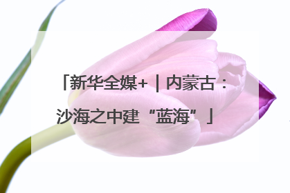 新华全媒+｜内蒙古：沙海之中建“蓝海”