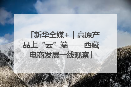 新华全媒+｜高原产品上“云”端——西藏电商发展一线观察