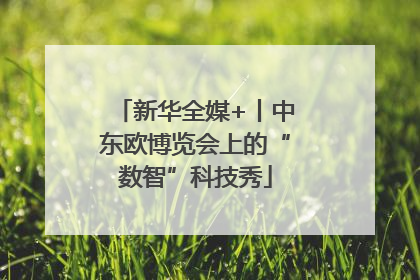 新华全媒+丨中东欧博览会上的“数智”科技秀