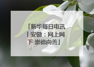 新华每日电讯丨安徽：网上网下 崇德向善