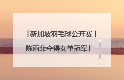 新加坡羽毛球公开赛丨陈雨菲夺得女单冠军