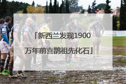 新西兰发现1900万年前喜鹊祖先化石