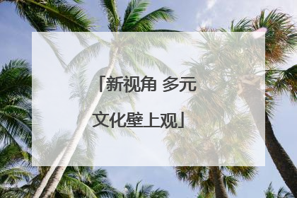 新视角 多元文化壁上观
