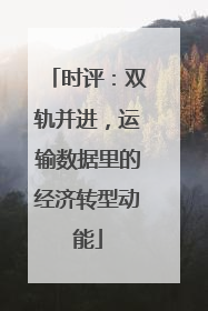 时评：双轨并进，运输数据里的经济转型动能