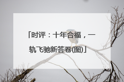 时评：十年合福，一轨飞驰新答卷(图)