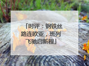 时评：钢铁丝路连欧亚，班列飞驰启新程
