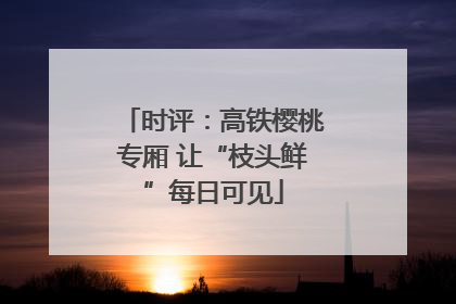 时评：高铁樱桃专厢 让“枝头鲜”每日可见