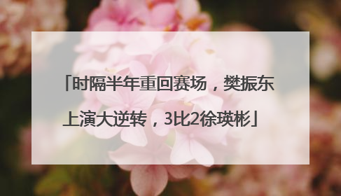 时隔半年重回赛场，樊振东上演大逆转，3比2徐瑛彬