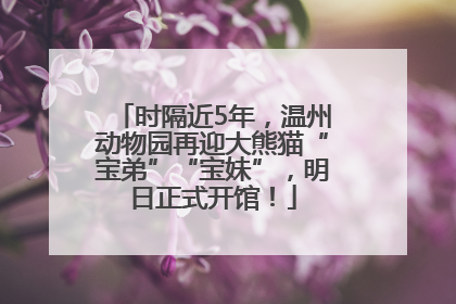 时隔近5年，温州动物园再迎大熊猫“宝弟”“宝妹”，明日正式开馆！