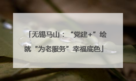 无锡马山：“党建+”绘就“为老服务”幸福底色