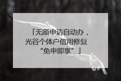 无须申请自动办，光谷个体户信用修复“免申即享”