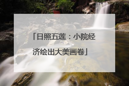 日照五莲：小院经济绘出大美画卷
