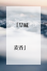 旱碱麦香