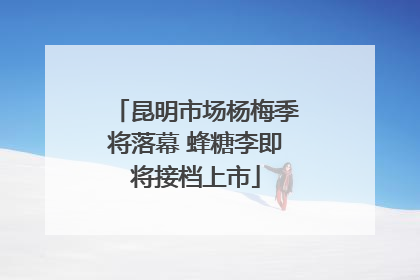 昆明市场杨梅季将落幕 蜂糖李即将接档上市