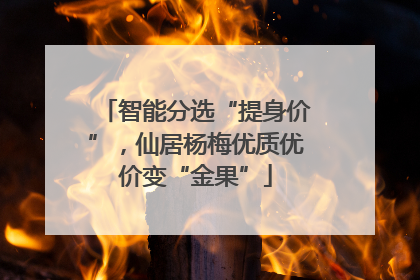 智能分选“提身价”，仙居杨梅优质优价变“金果”