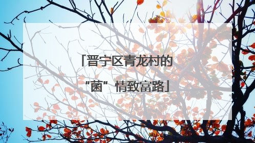 晋宁区青龙村的“菌”情致富路