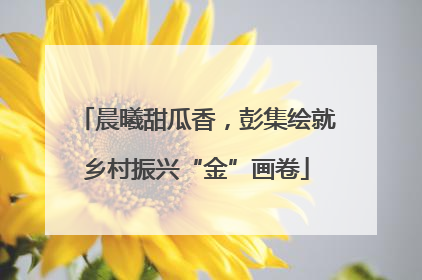 晨曦甜瓜香，彭集绘就乡村振兴“金”画卷