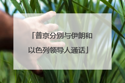 普京分别与伊朗和以色列领导人通话