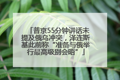 普京55分钟讲话未提及俄乌冲突，泽连斯基此前称“准备与俄举行最高级别会晤”