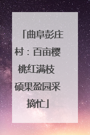 曲阜彭庄村：百亩樱桃红满枝 硕果盈园采摘忙