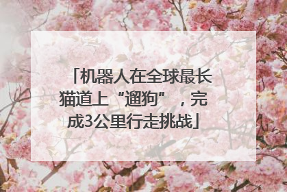 机器人在全球最长猫道上“遛狗”，完成3公里行走挑战