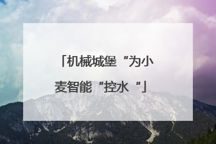 机械城堡“为小麦智能“控水“