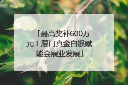 最高奖补600万元！厦门真金白银赋能会展业发展