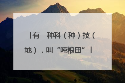 有一种科（种）技（地），叫“吨粮田”