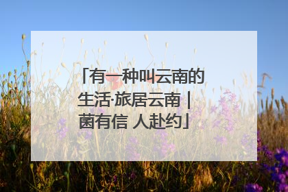 有一种叫云南的生活·旅居云南｜菌有信 人赴约
